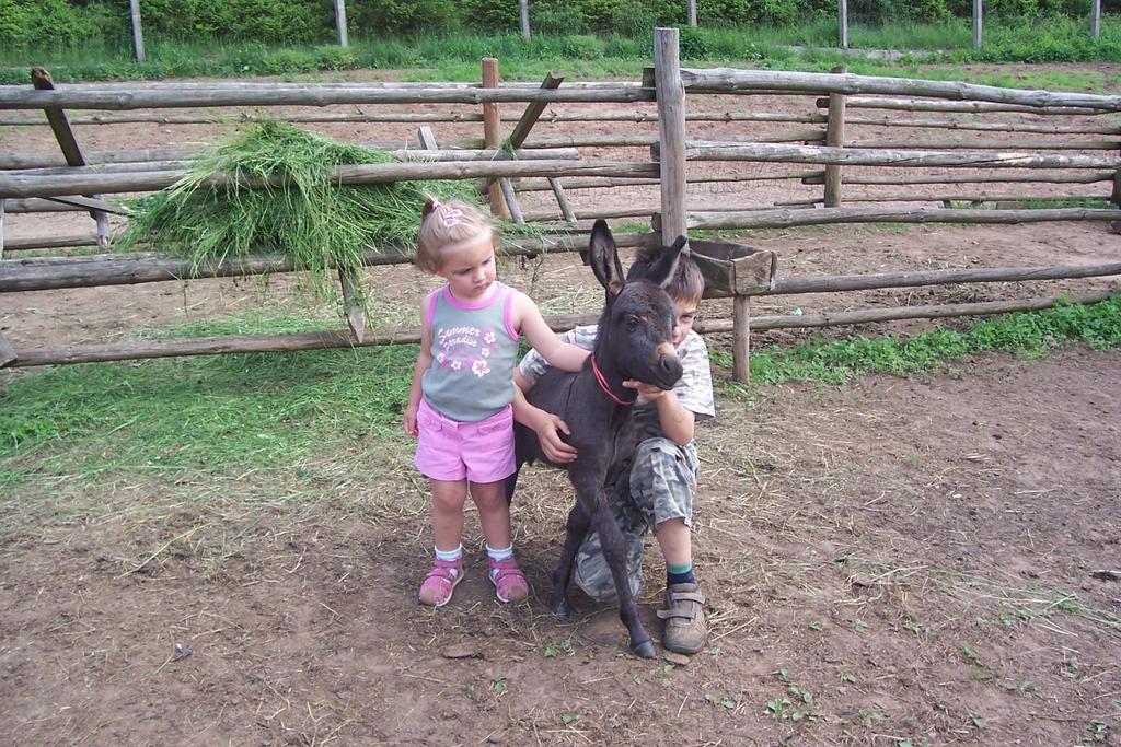 Ziolowa Dolina Olsztyn  Dış mekan fotoğraf